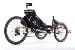 25-year-edition-003