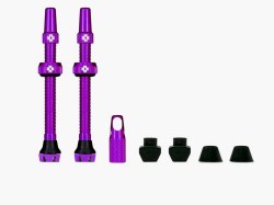 Web_PURPLE_TUBELESS_PRESTA_VALVE__PAIR__2021_c6b7d99a-1f53-47dd-b362-d99ba5271a5c_850x850_crop_center4