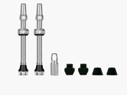 Web_SILVER_TUBELESS_PRESTA_VALVE__PAIR__2021_c936ae51-b1cf-475c-8170-c717e78fdc6f_850x850_crop_center