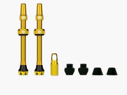 Web_YELLOW_TUBELESS_PRESTA_VALVE__PAIR__2021_850x850_crop_center