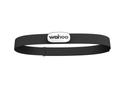 zurich_loopstrap_withdevice